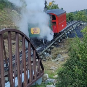 Fundraising Page: Tina Starner